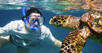 /album/fotogaleria-karibik-island-hopping-zajezd-vy-a-my/island-hopping-zajazd-00-15-jpg1/